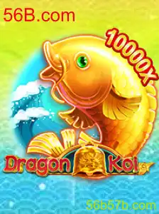 Explorando o Fascinante Mundo de DragonKoi